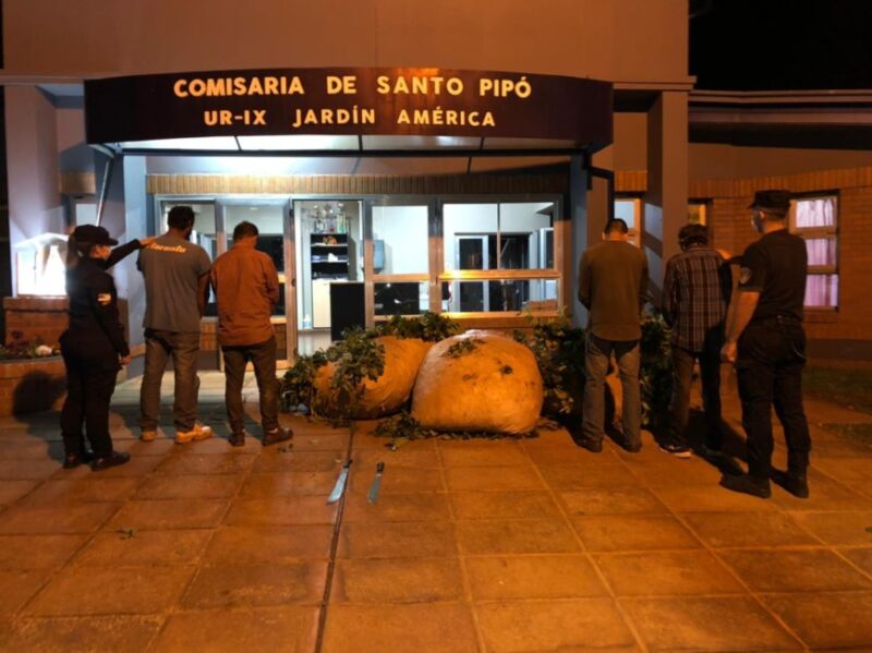 Los atraparon en plena cosecha ilegal de casi 300 kilos de yerba mate