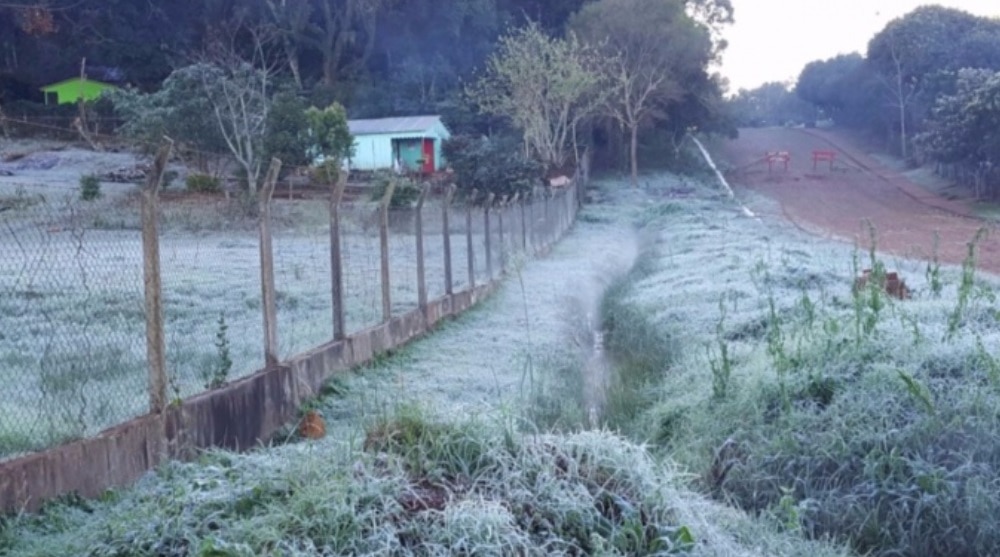 Anticipan la llegada de una