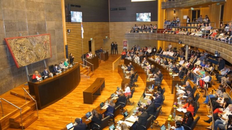 Crean un programa para