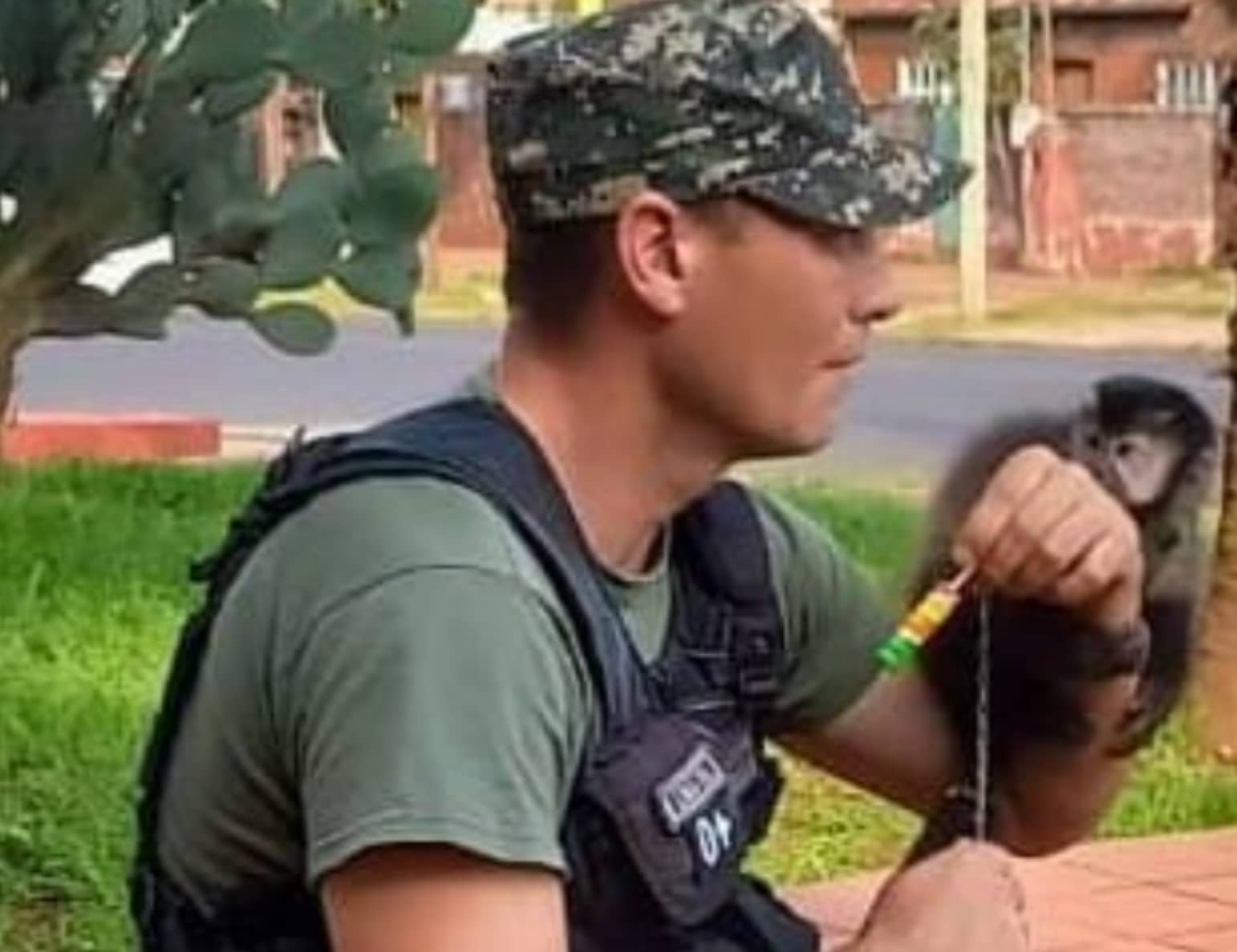 Devolvieron a su hábitat a 1