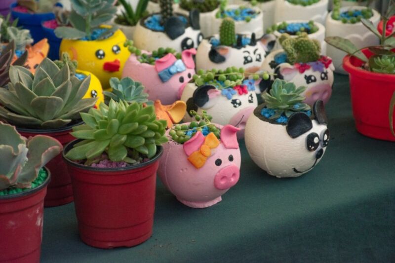 El Día de la Pachamama