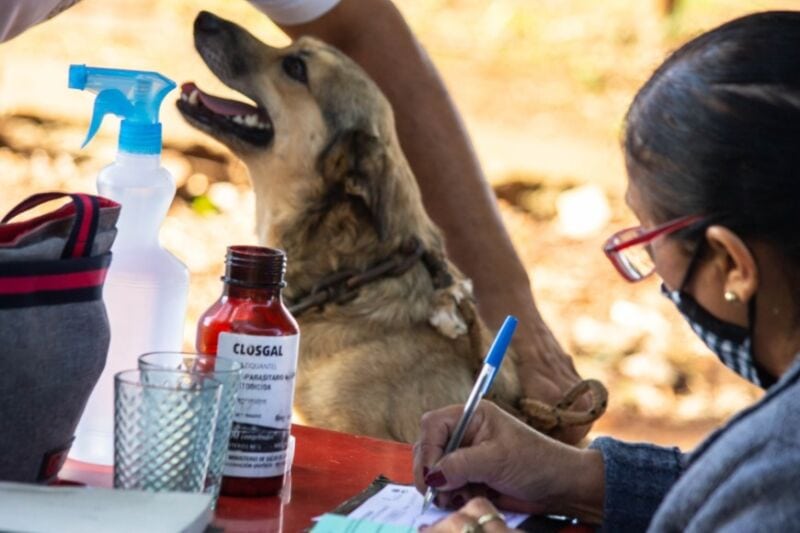 El Imusa continúa recorriendo