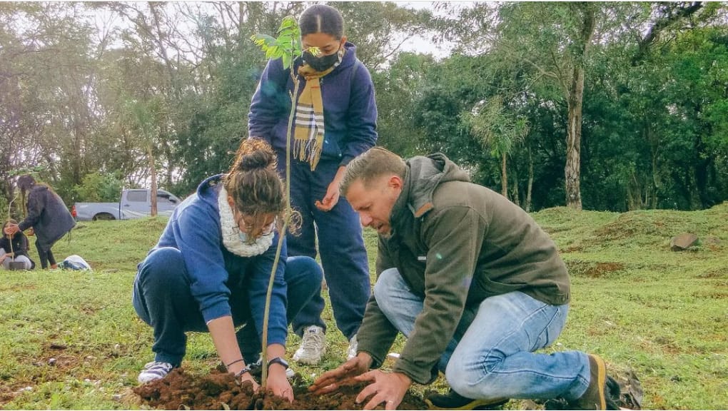 Hay cinco mil arboles plantados 2 - 1