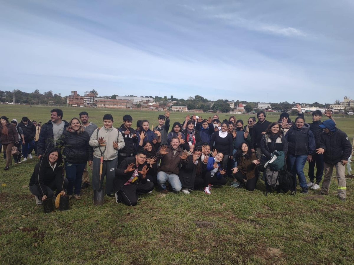 Hay cinco mil arboles plantados 3 - 7