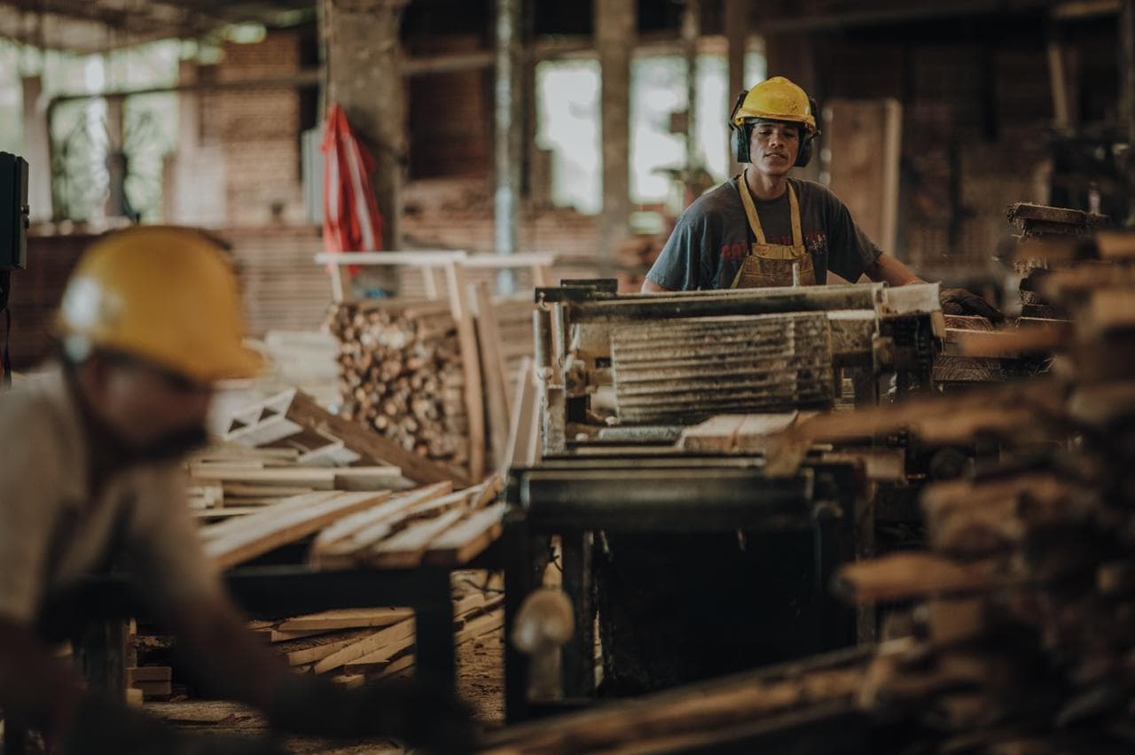 La actividad forestal misionera
