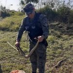 Liberaron en su habitat natural 3 - 5