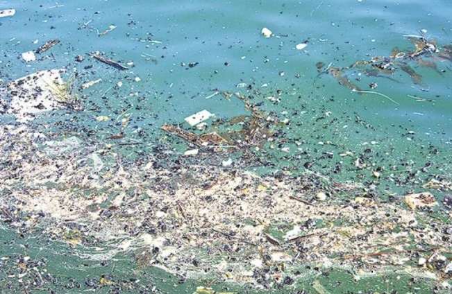 MICROPLÁSTICOS EN LA COSTA ARGENTINA