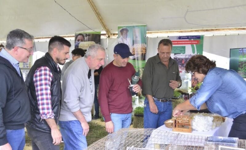 Misiones registró un 88% de ocupación de alojamiento durante el fin de semana largo 2 4 - Misiones registro un 88 de 2 - 3