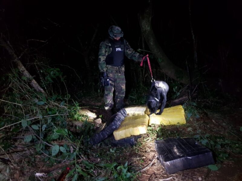 Montecarlo: secuestraron marihuana valuada es más de 107 millones de pesos