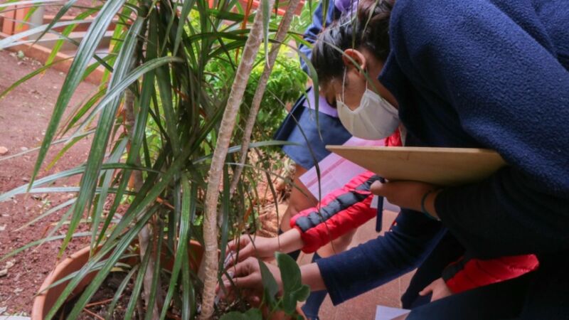 Posadas intensifica tareas para eliminar criaderos de Aedes aegypti 1 Posadas intensifica tareas para eliminar criaderos de Aedes aegypti