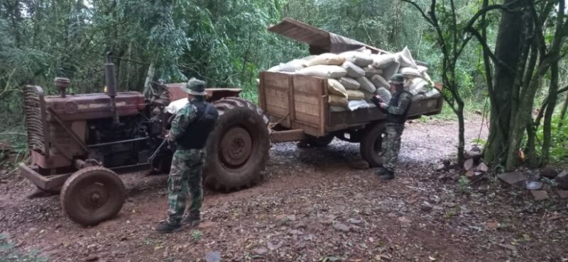 Prefectos incautaron más de