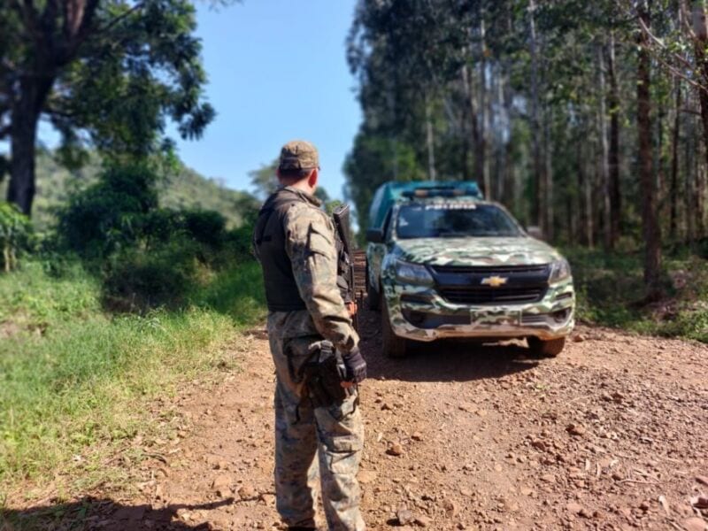 Recuperaron rollos de madera nativa