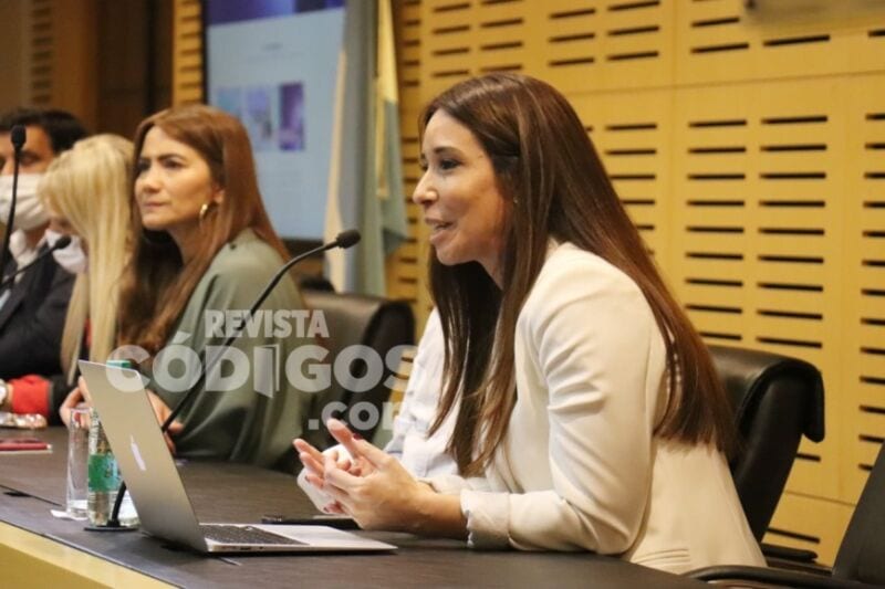 Presentaron el programa de formación docente Guacurari Digital en la Legislatura