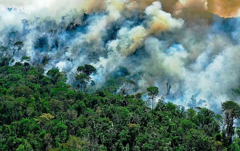 Amazonia los incendios