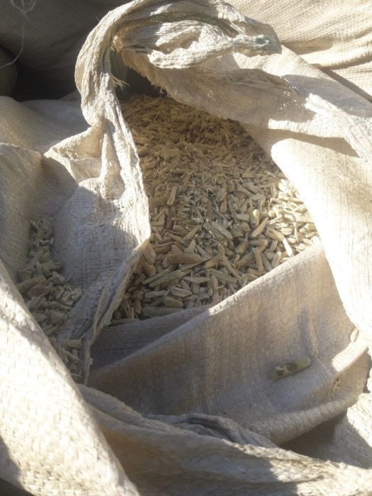 Colonia Alberdi: el INYM intervino 4 mil kilos de palo molido en un secadero 1 2 - Colonia Alberdi el INYM 1 - 1