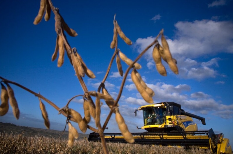 Confirmaron el fin del dólar