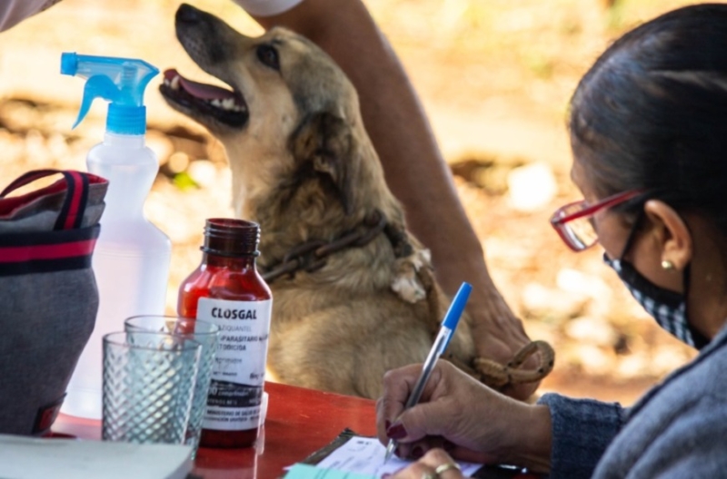 Conocé los lugares que recorrerá