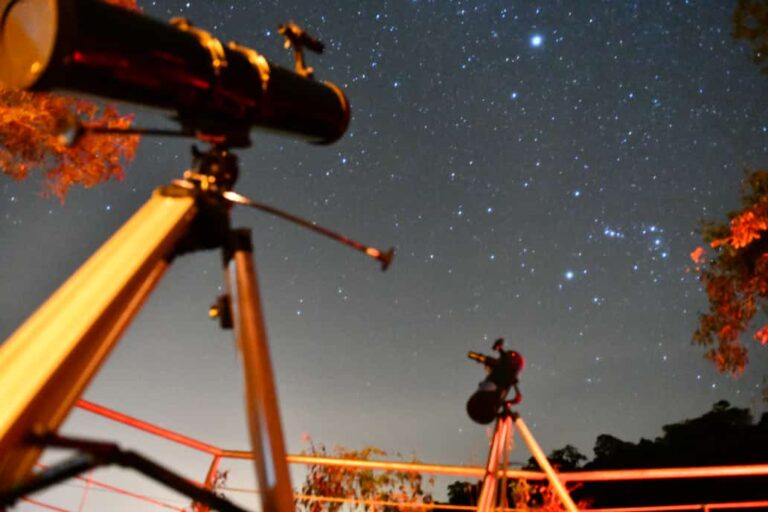 Declararon de interés provincial la protección ambiental del cielo oscuro