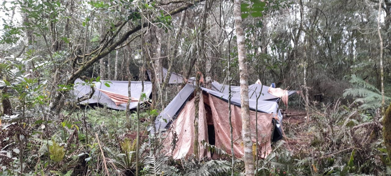 Detectan indicios de explotación