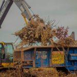 Economía circular en Posadas: de la poda al chip ornamental de los espacios públicos 1 2 - Economia circular en Posadas 3 - 1