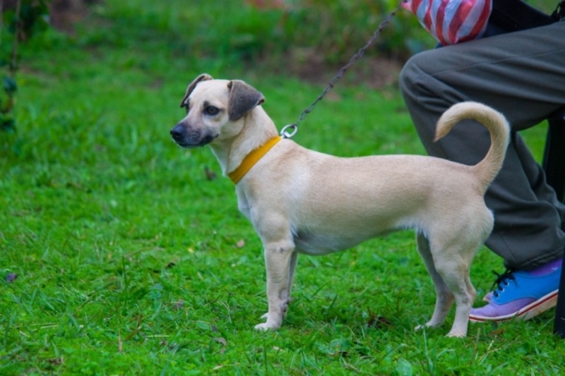 El Imusa continuara 1 - 3