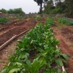 Estudiantes de la EFA 1 - 1