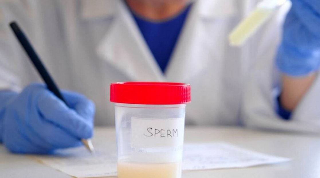 Francia las personas concebidas mediante