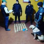 Hallaron cocaina y marihuana en1 3 - 5