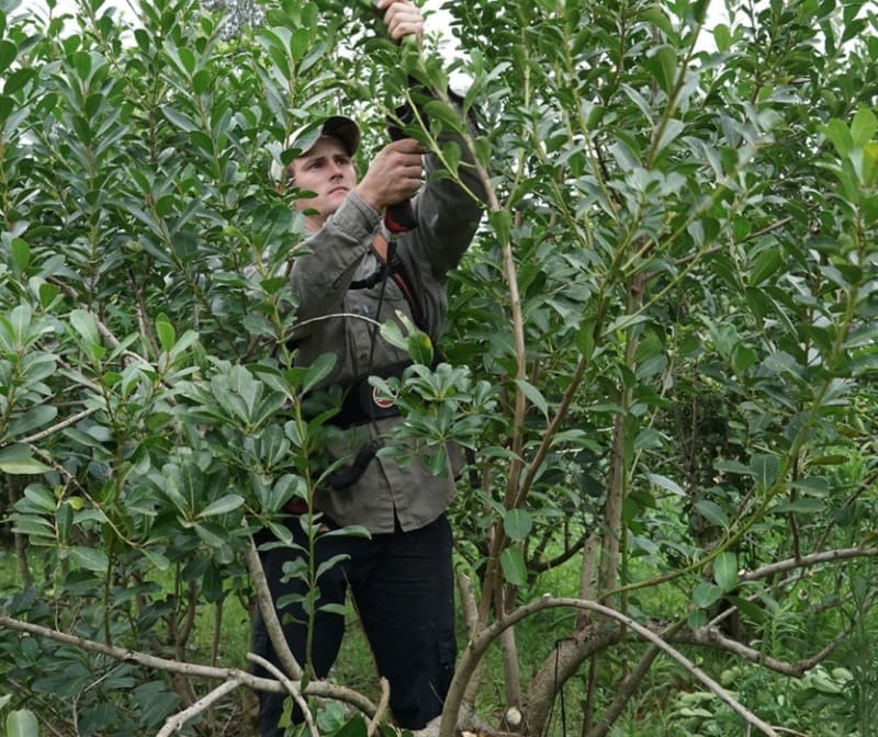 Herramientas y manejo adecuado