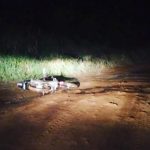 Incautaron armas de fuego 2 - 8