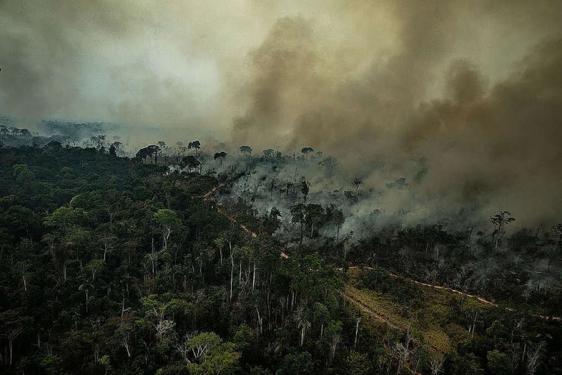Incendios en el Amazonas