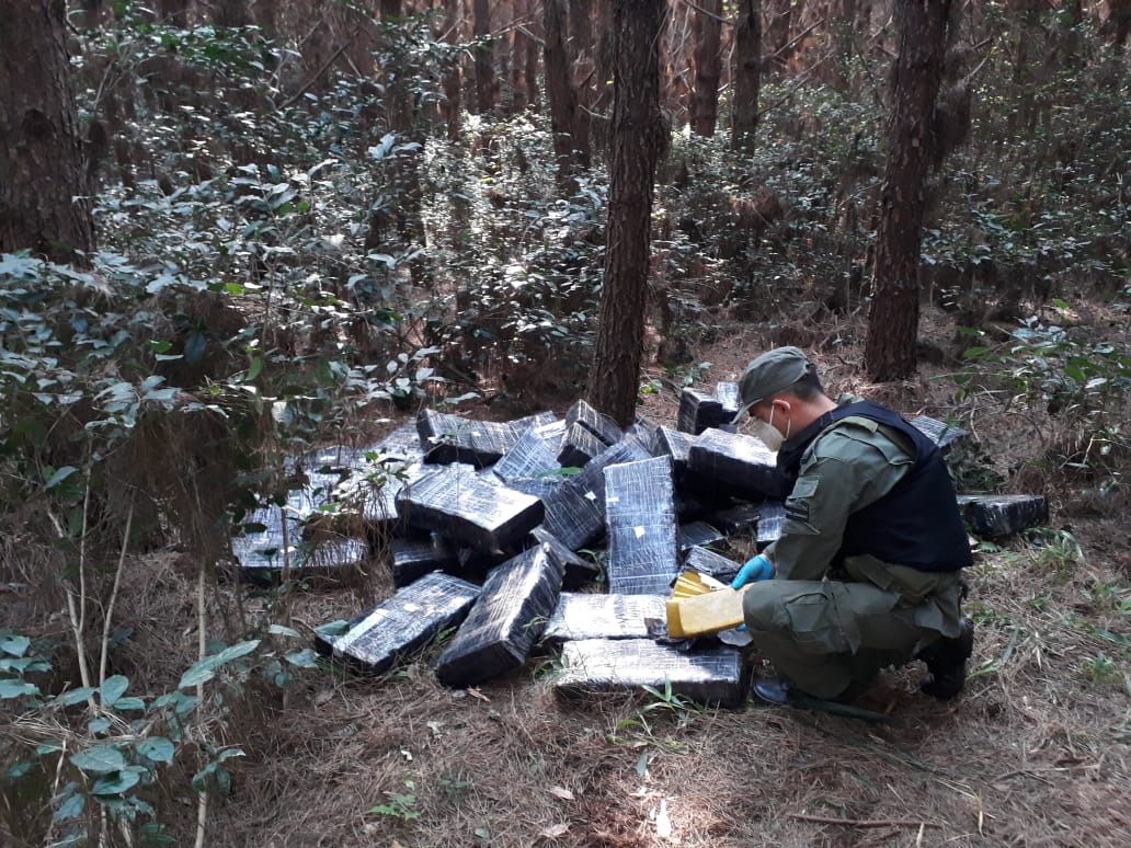 Jardin America 3 - 3