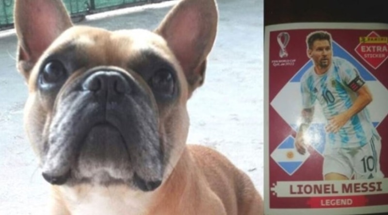 Jujuy un niño ofrece su