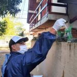 Este lunes arranca el LIRAa en Posadas: en caso de lluvia el operativo será reprogramado 2 4 - LIRAa en Posadas 3 1 - 3