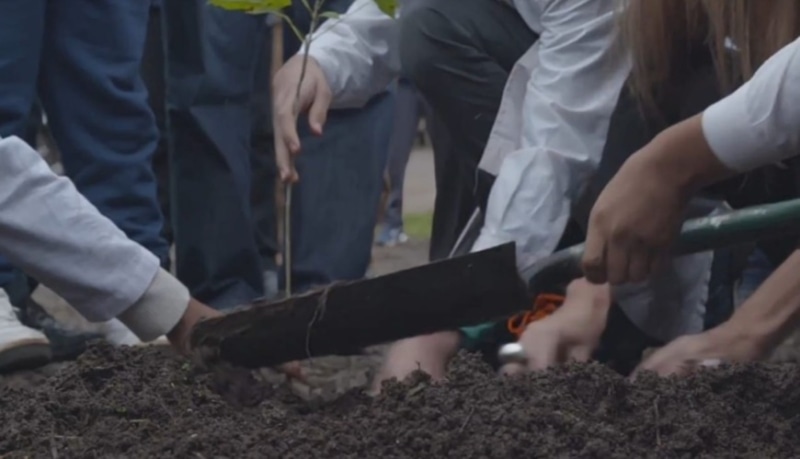 La Ecoescuela educacion disruptiva pensada 1 - 1