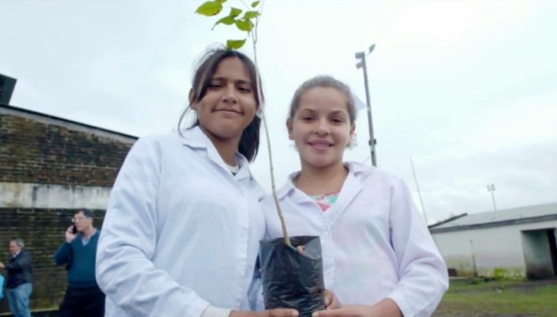 La Ecoescuela, educación disruptiva pensada