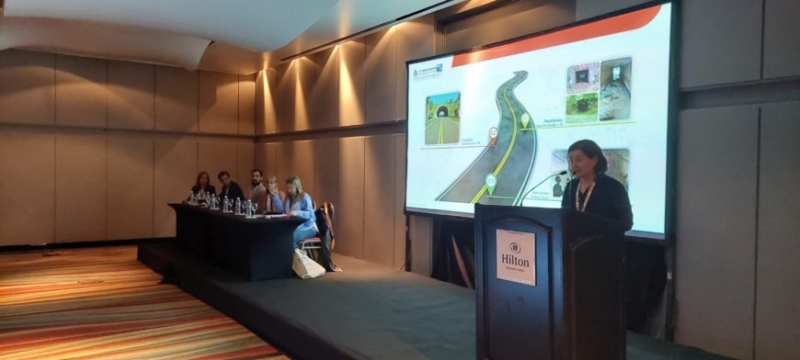 Mención especial para la DPV Misiones en el Congreso de Vialidad y Tránsito 2 4 - Mencion especial para la 2 - 3