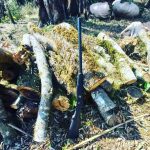 Operativo rural en San Pedro 1 - 5