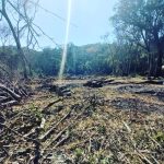 Operativo rural en San Pedro 2 - 3