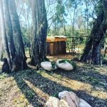 Operativo rural en San Pedro 3 - 1