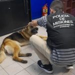 Patrullajes virtuales recuperaron dos 1 - 1