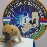 Patrullajes virtuales recuperaron dos 2 - 3