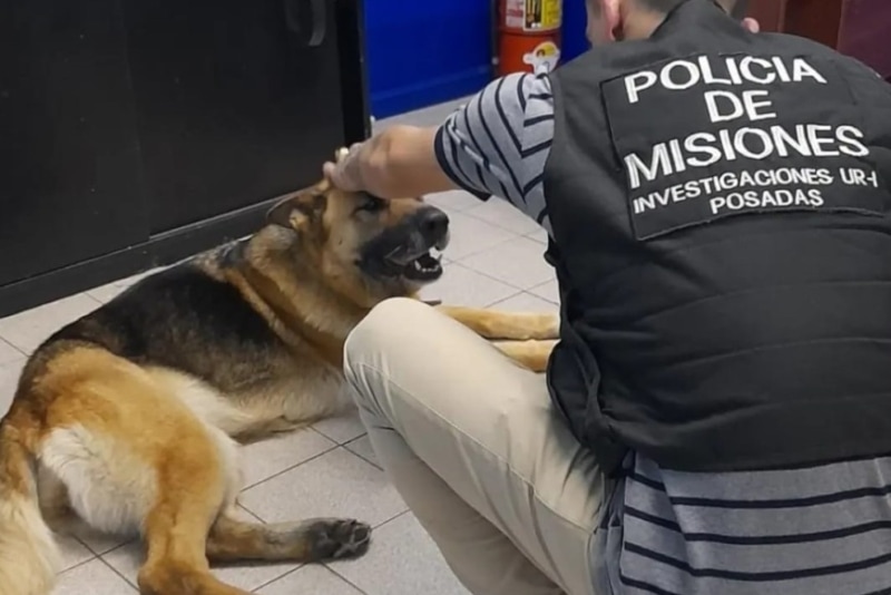 Patrullajes virtuales recuperaron dos