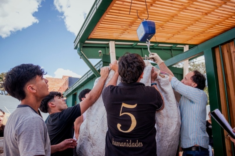 Reciclaje estudiantil en Posadas