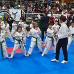 Taekwon-Do ITF: crece la expectativa por la llegada del 1° torneo "Abierto de Misiones" 1 2 - Taekwon Do ITF crece la expectativa 1 1 - 1