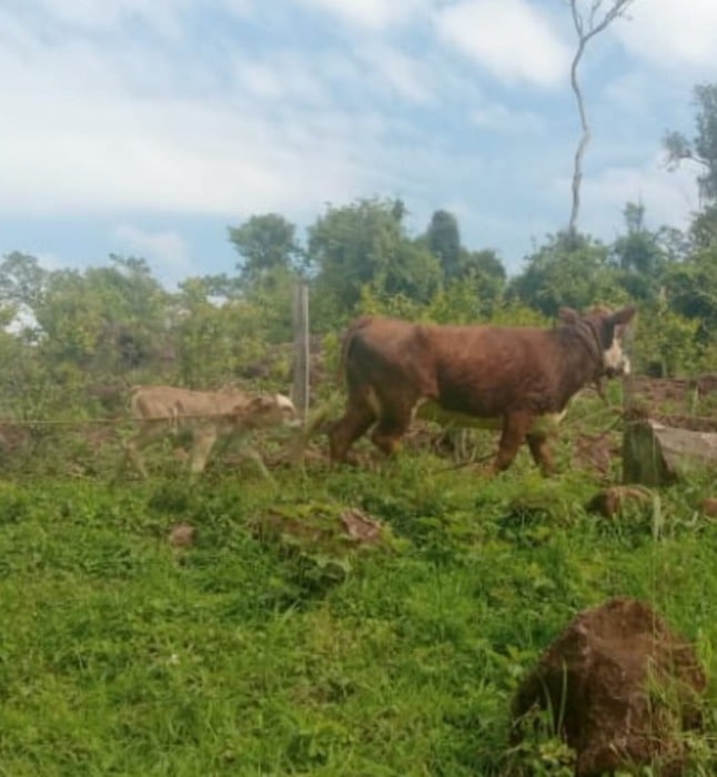 WhatsApp Image 2022 09 06 at 20.35.40 - 1