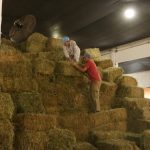 Zona sur entregaron fardos