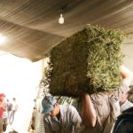 Zona sur entregaron fardos1 5 - 8