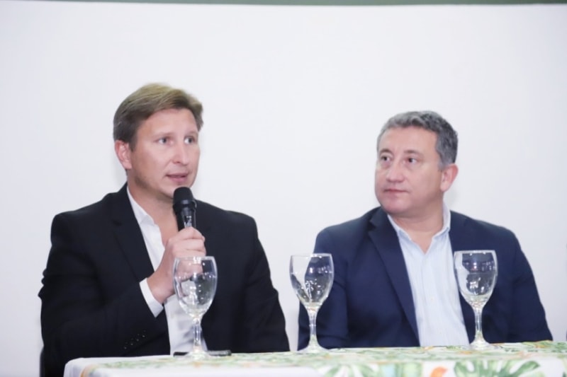 el atropellamiento de fauna en Misiones 1 - 1