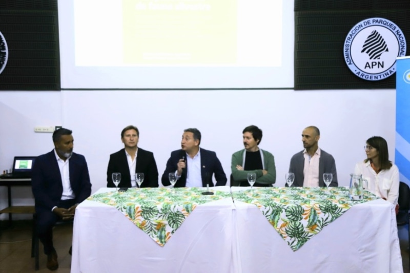 Realizan reunión para debatir sobre el atropellamiento de fauna en Misiones 2 4 - el atropellamiento de fauna en Misiones 2 - 3
